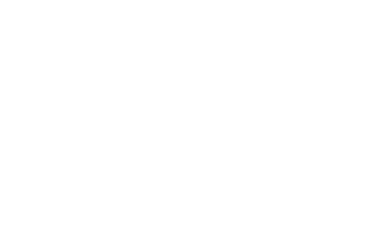 Logo DM Project